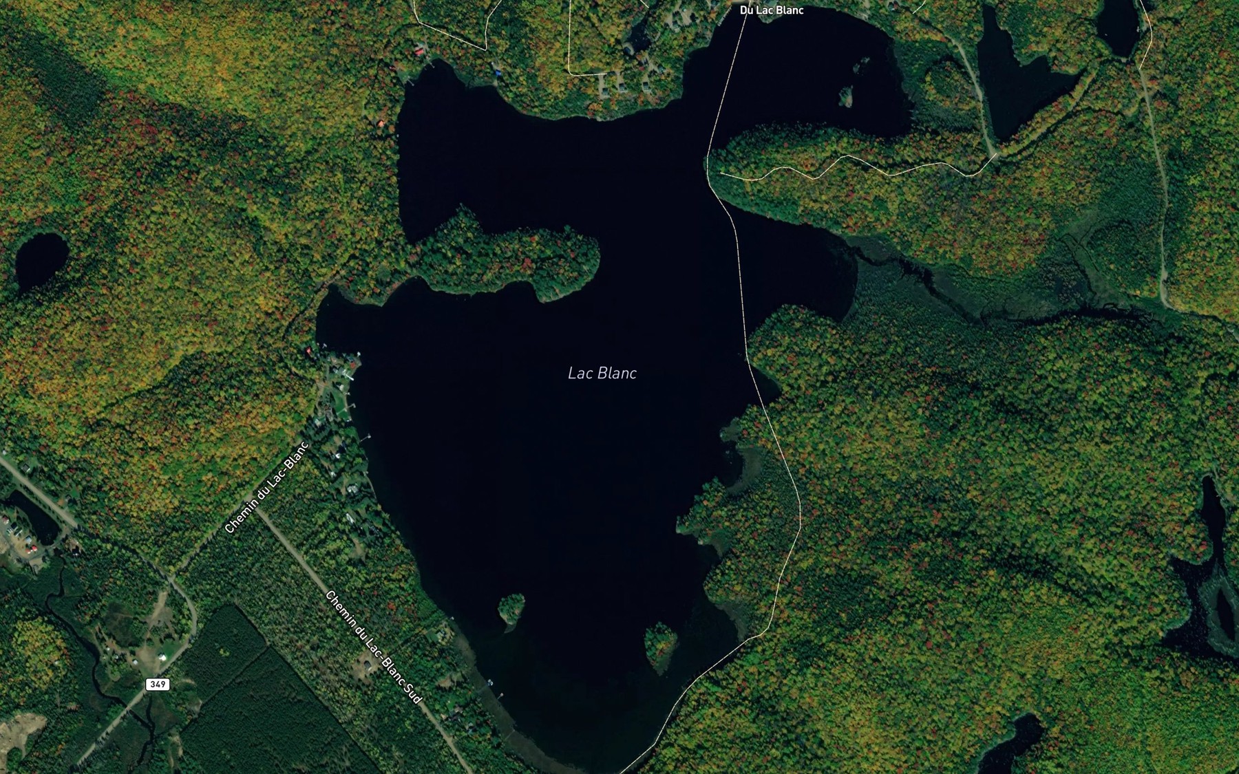 Satellite map of the Lac Blanc