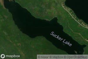 Sucker Lake