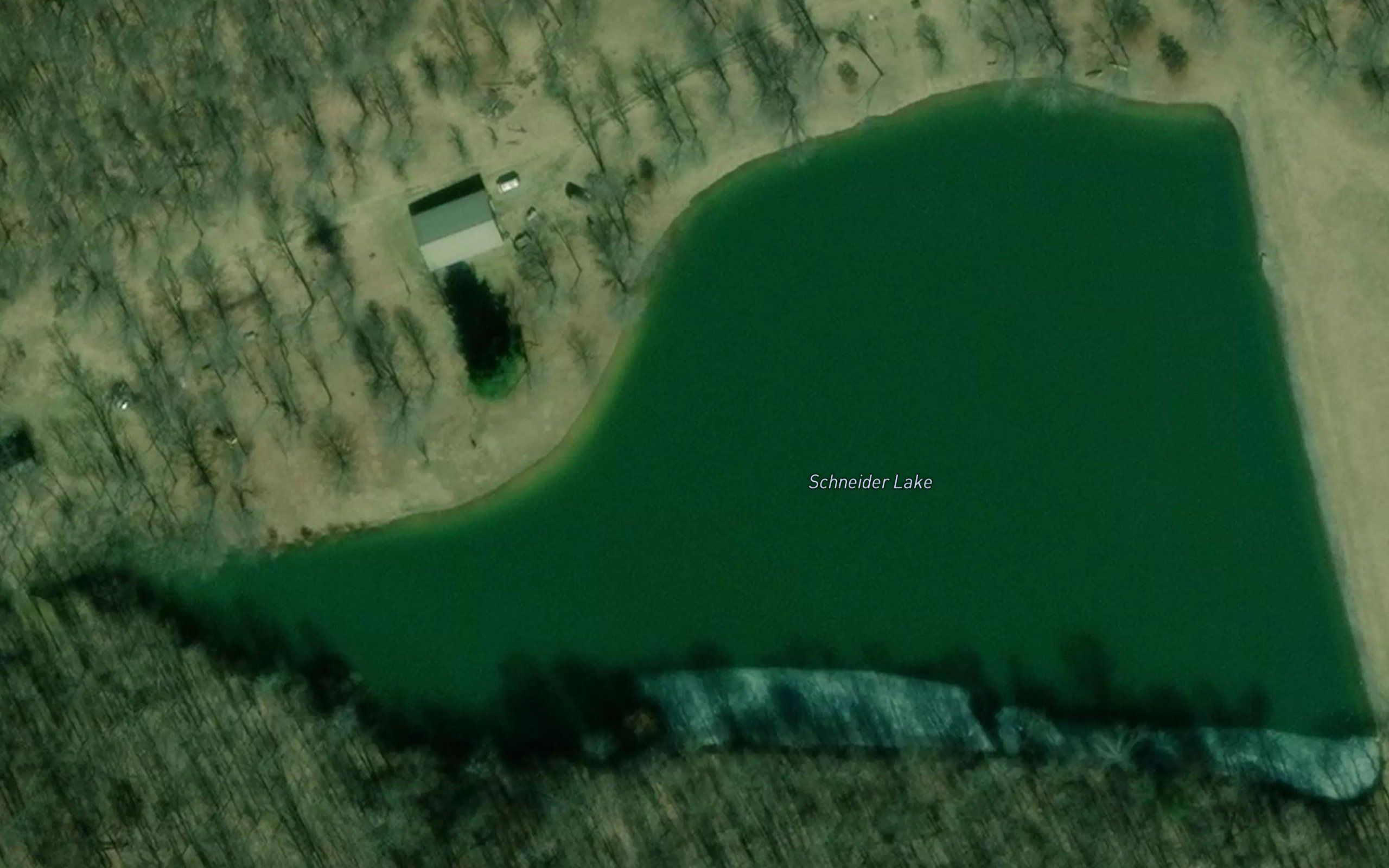 Schneider Lake