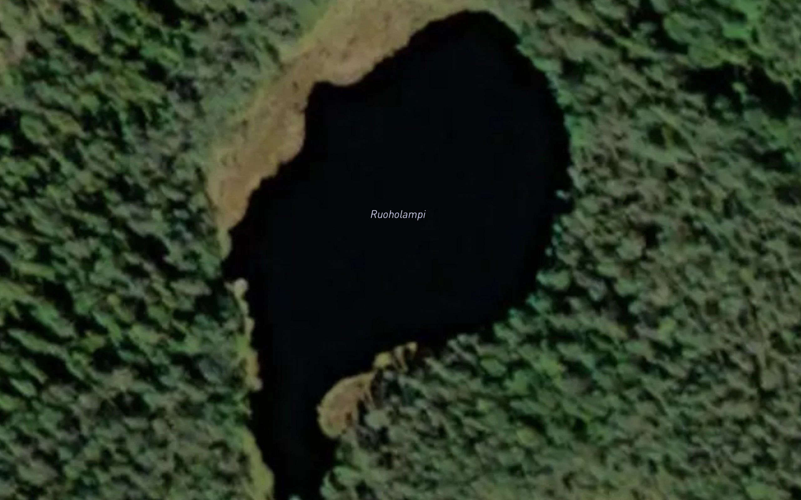 Ruoholampi
