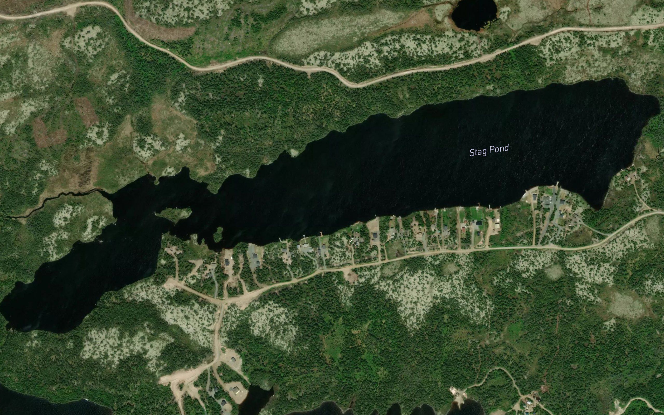 Stag Pond