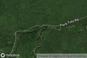 South Branch Trout Brook