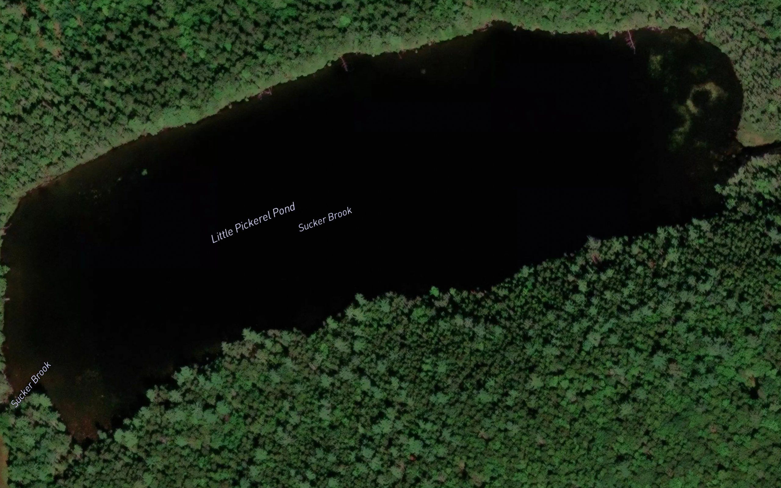 Little Pickerel Pond