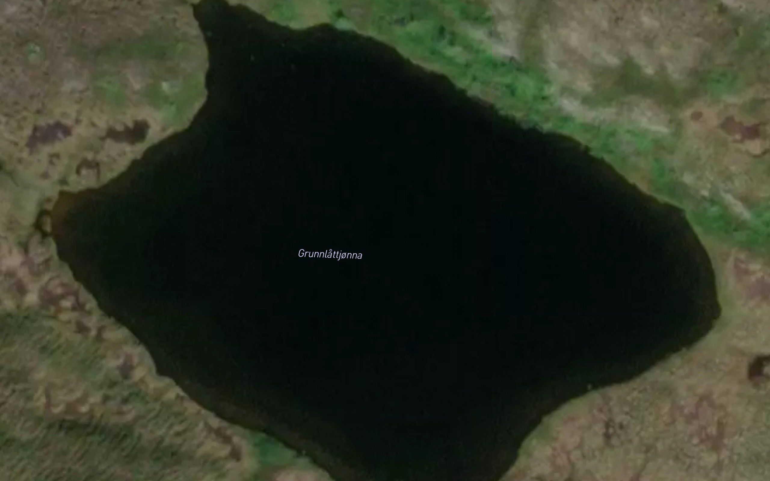 Grunnlattjorna