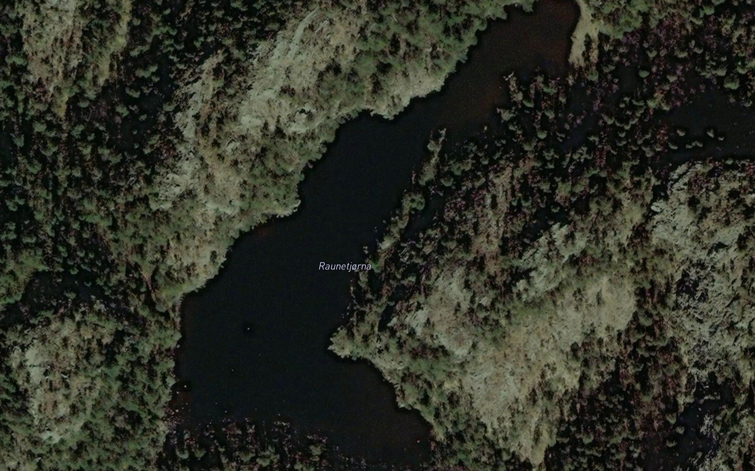Raunetjorna