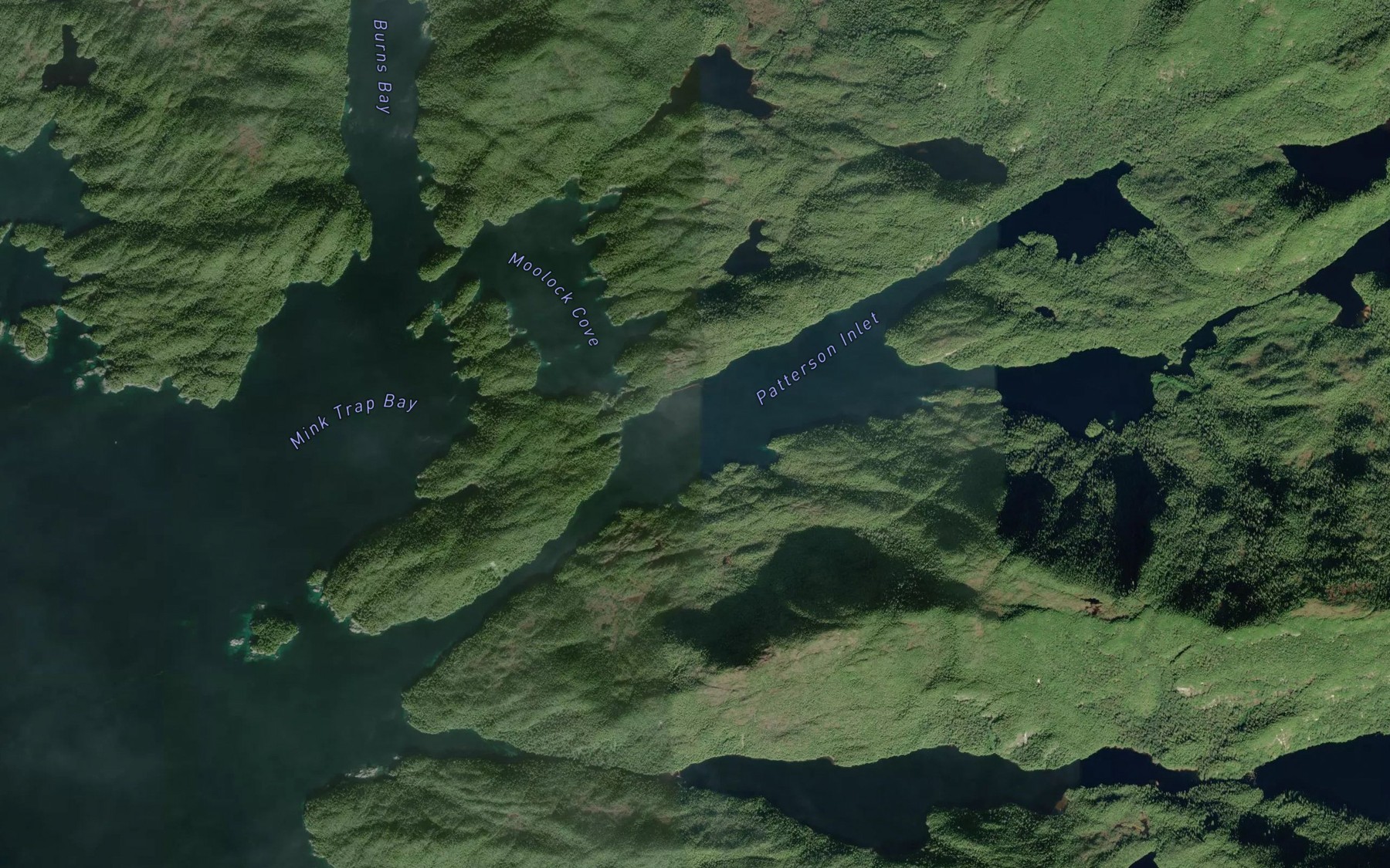 Satellite map of the Patterson Inlet