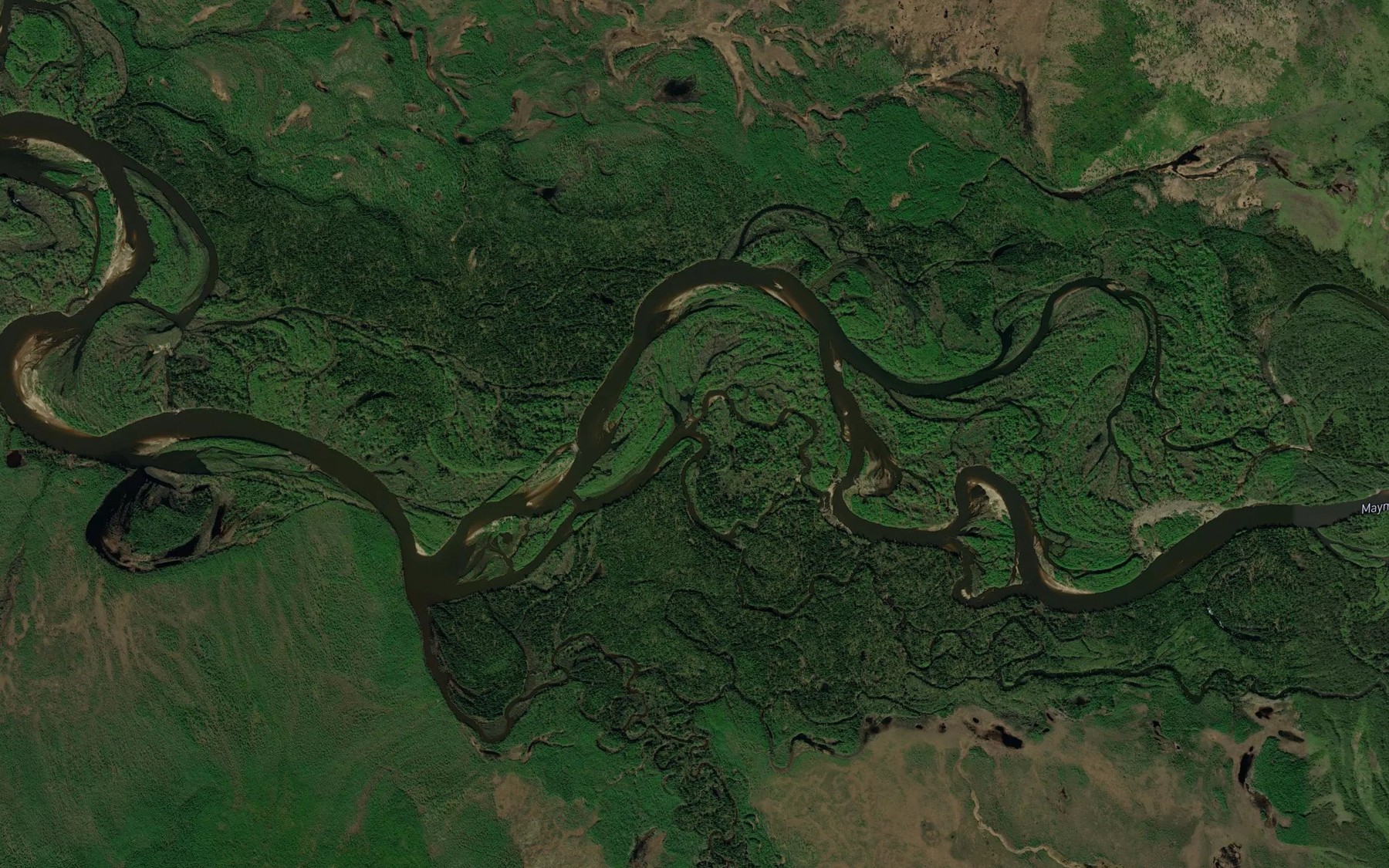 Satellite map of the Protoka Tikhaya