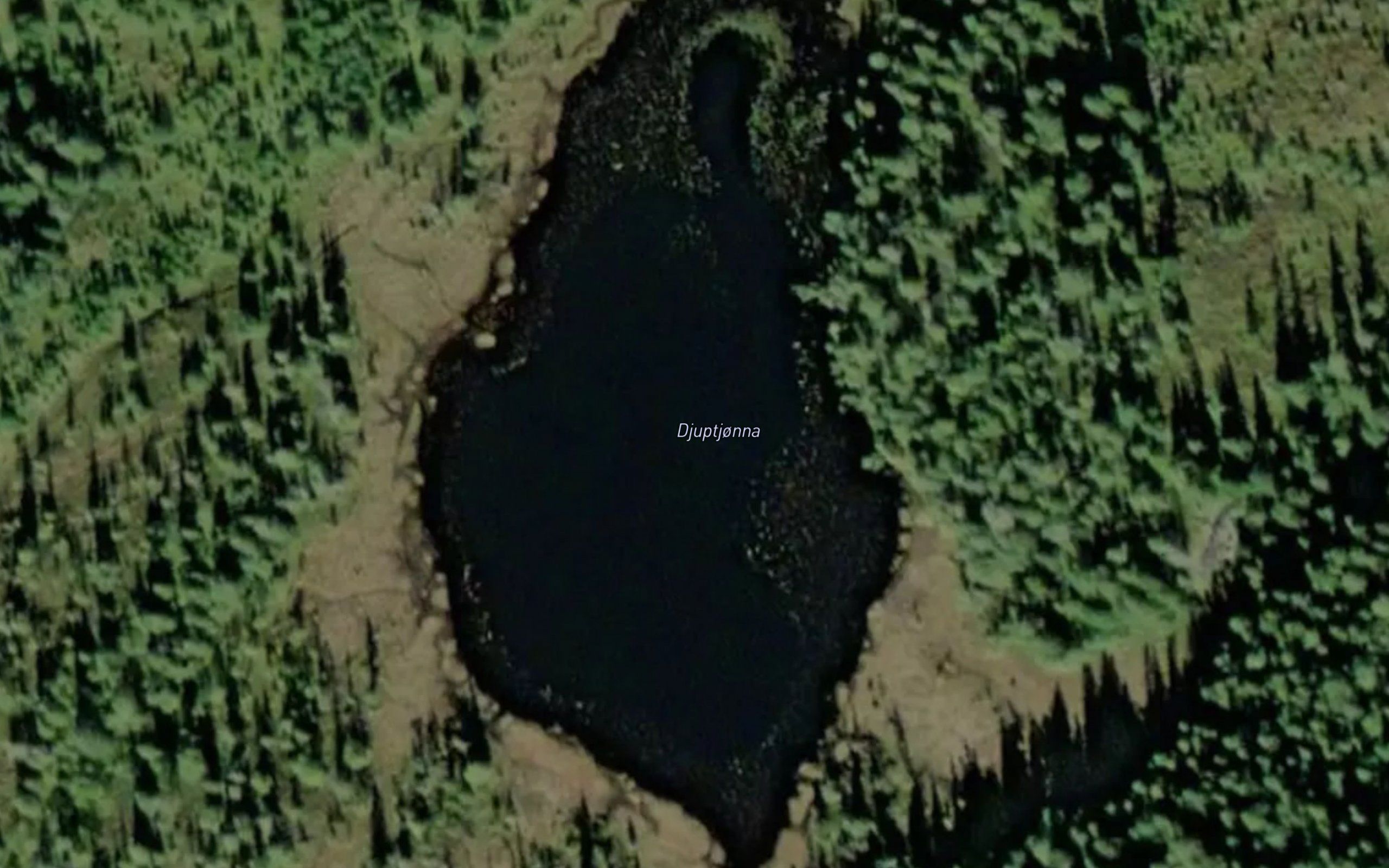 Djuptjorna