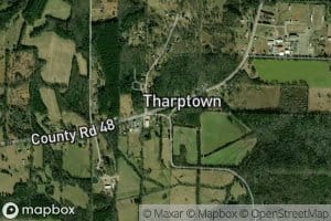 Tharptown Springs