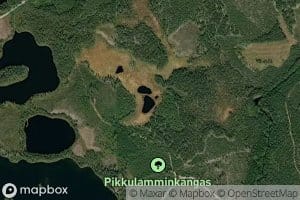Koskilammit