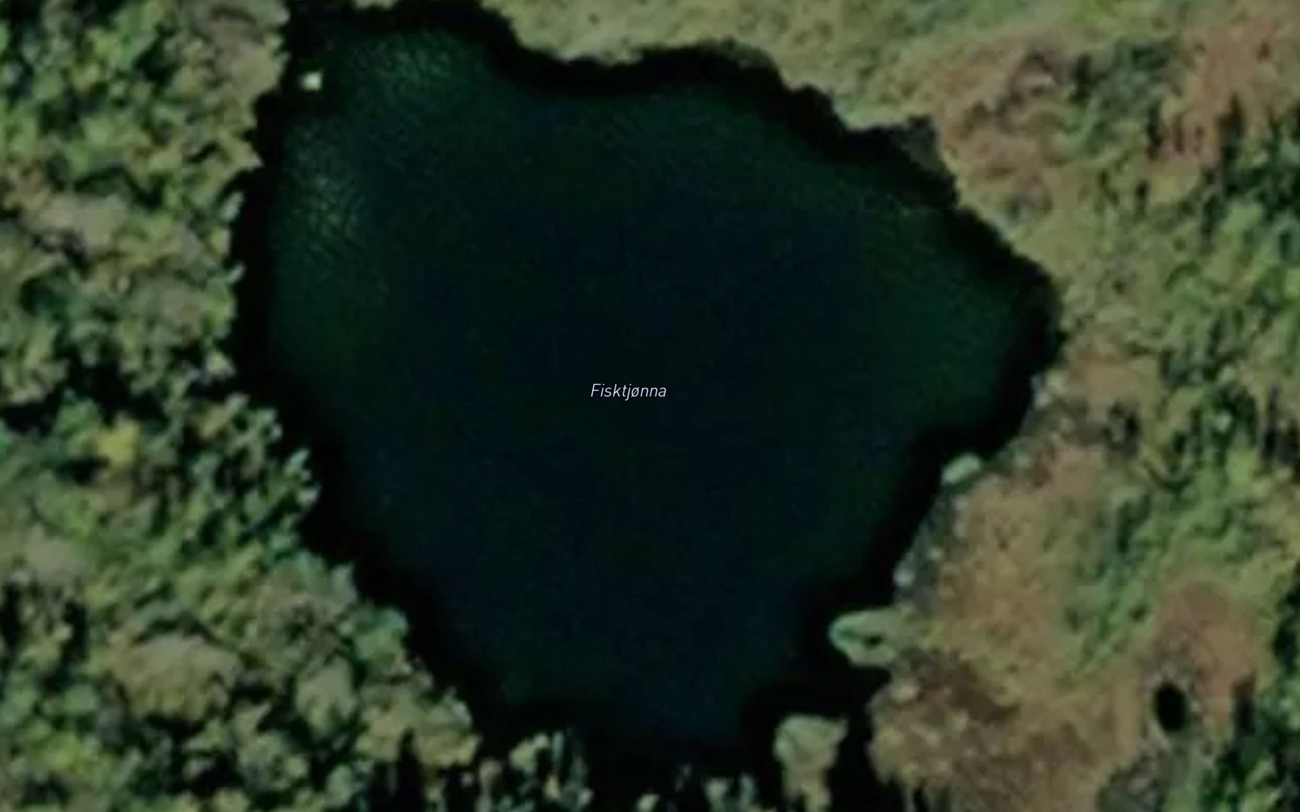 Fisktjorna