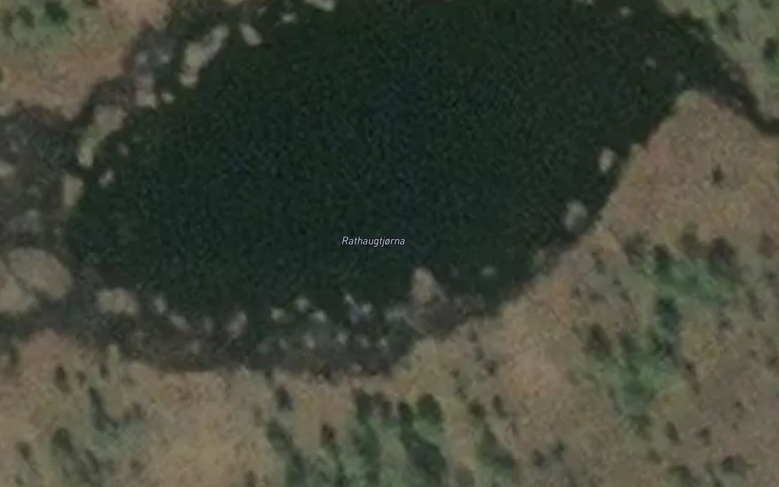 Rathaugtjorna