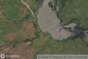Kilongo