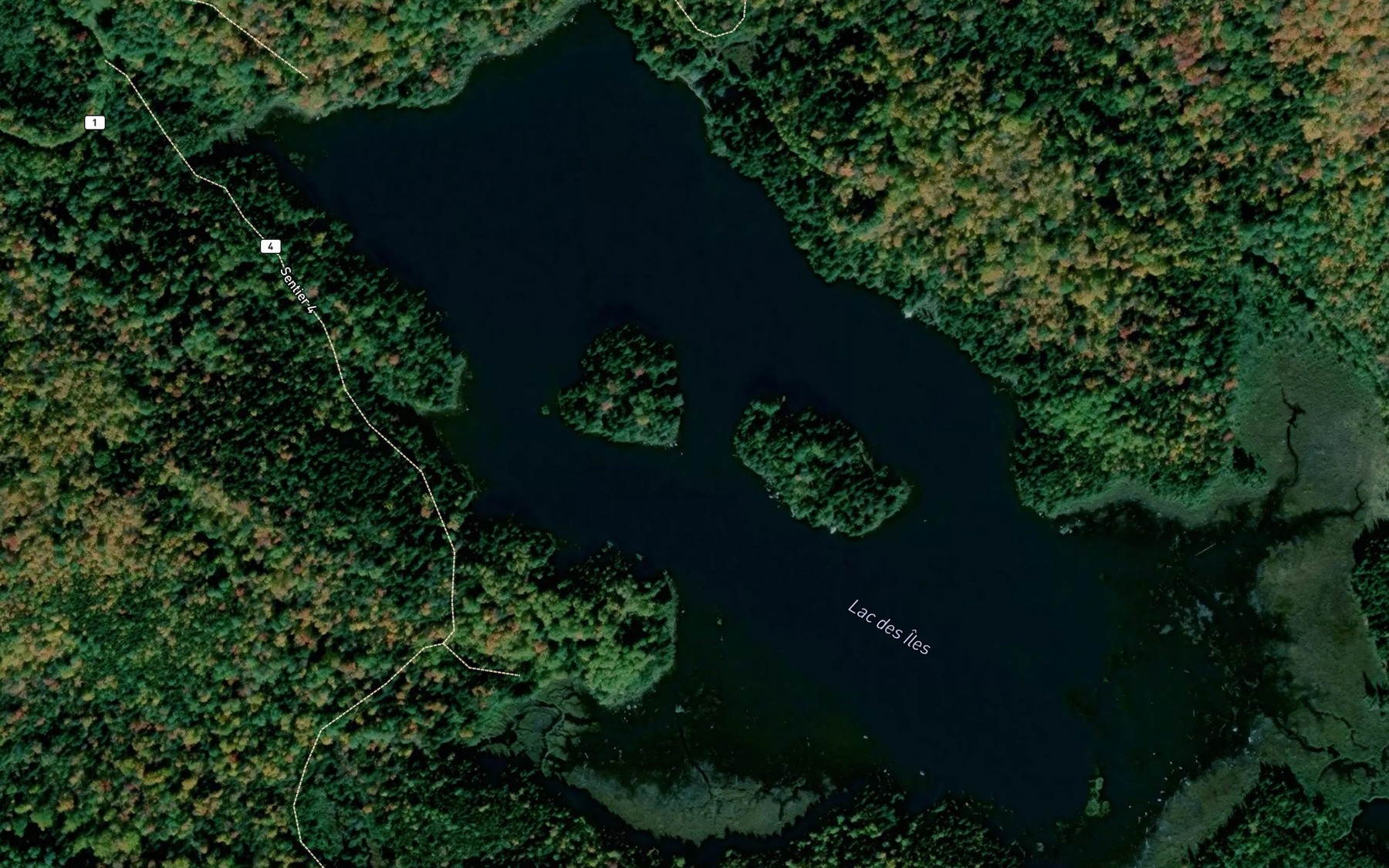 Satellite map of the Lac des Iles