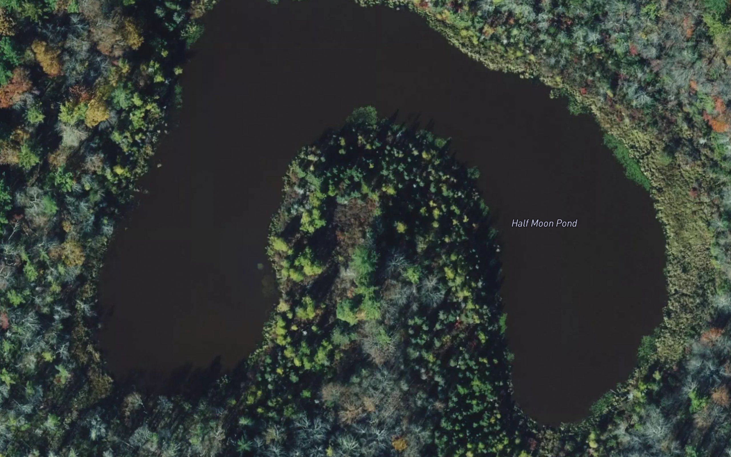 Half Moon Pond