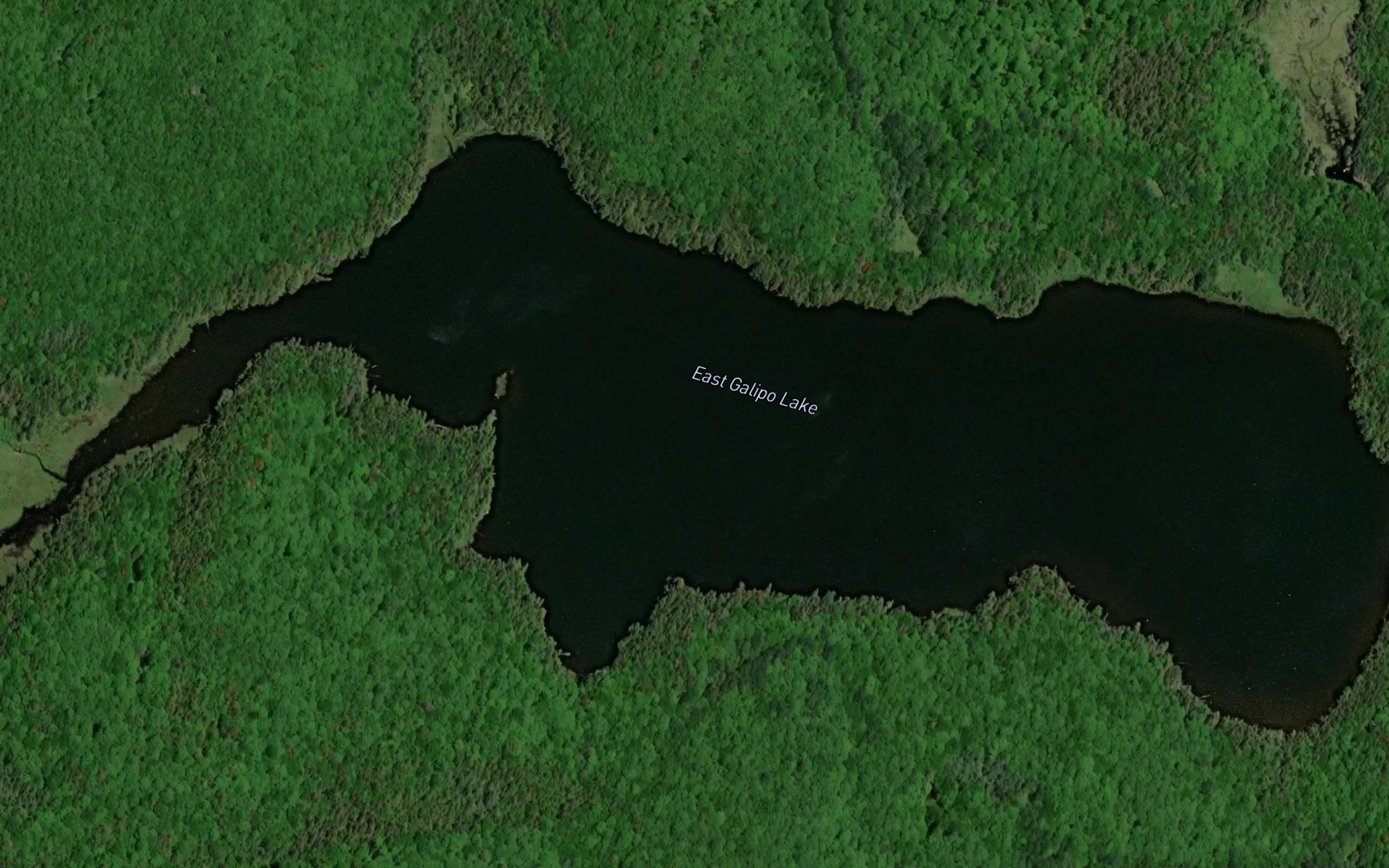 Satellite map of the East Galipo Lake