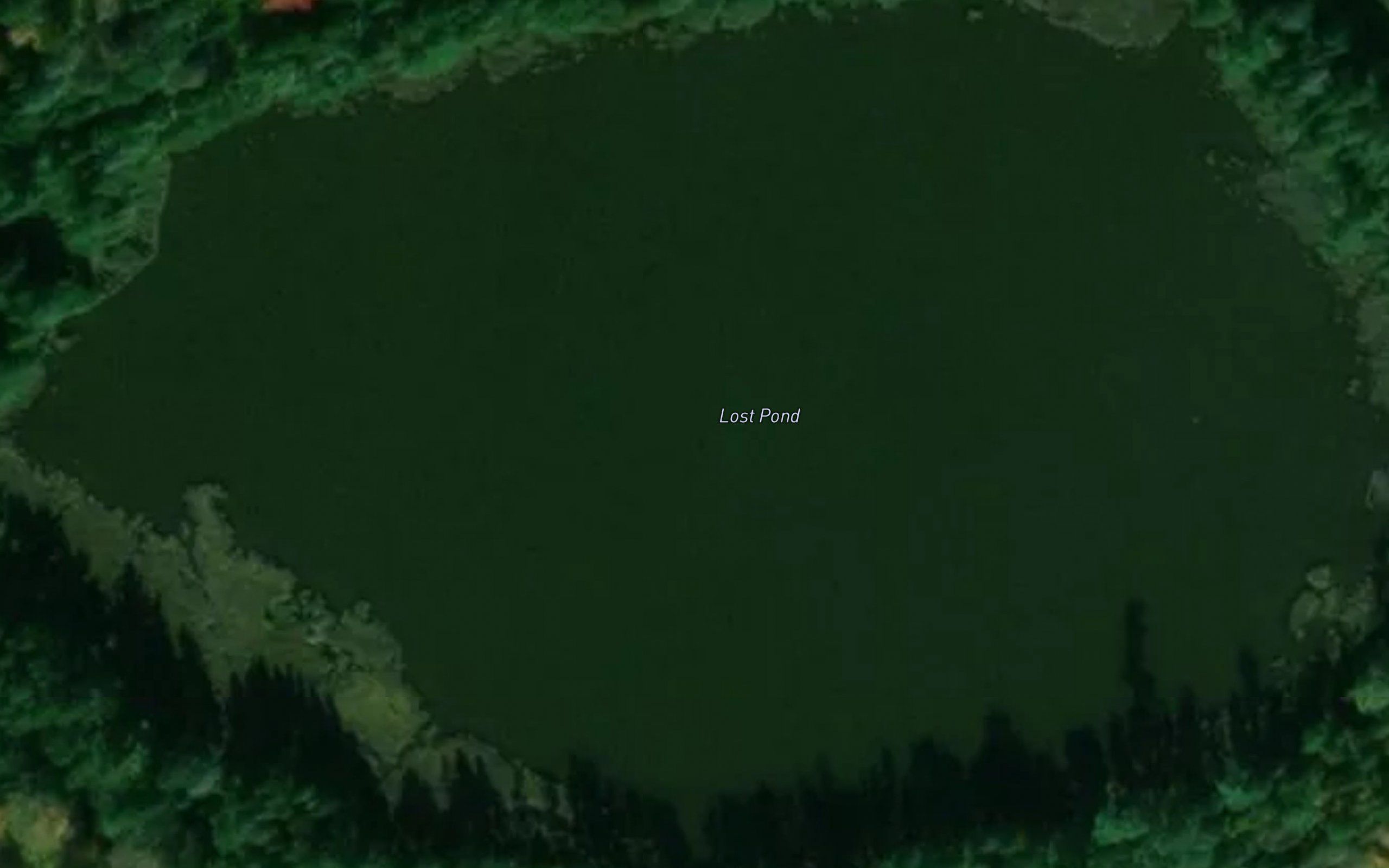 Lost Pond