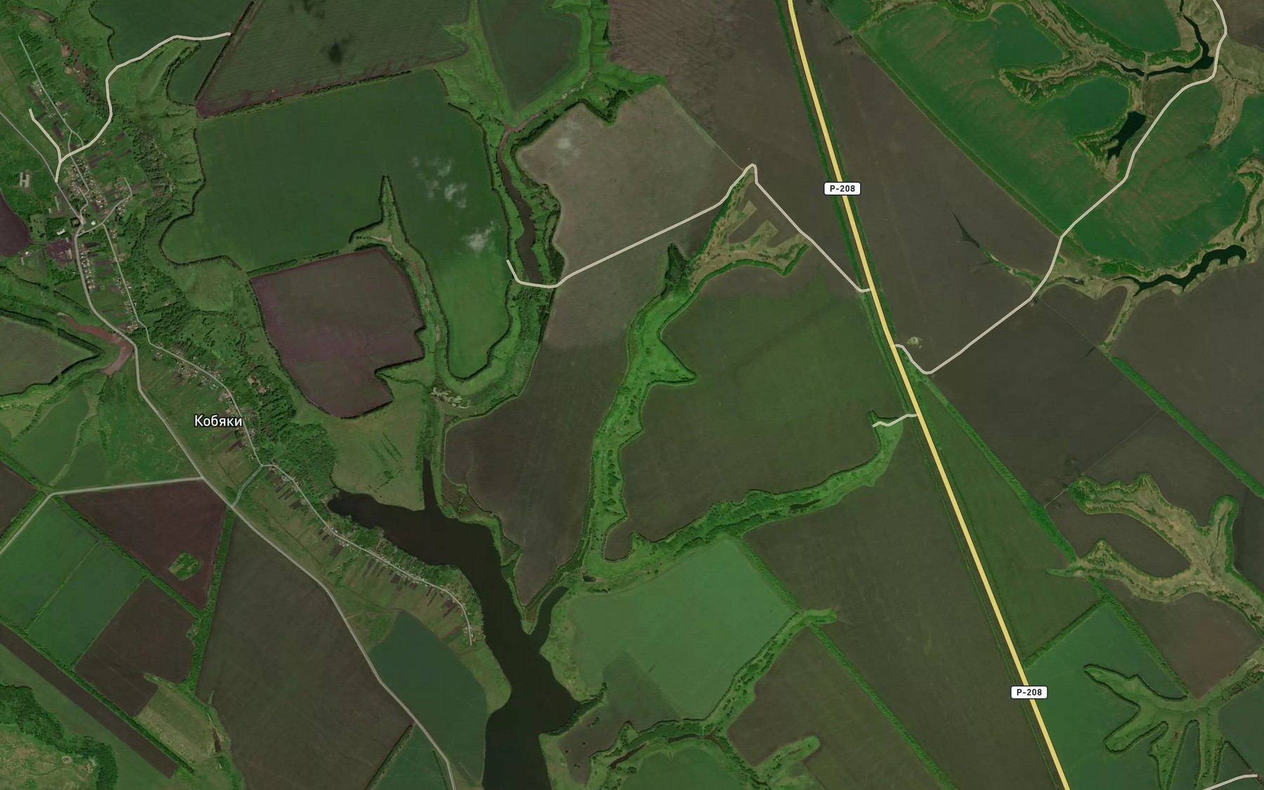 Satellite map of the Balka Borisov Yar