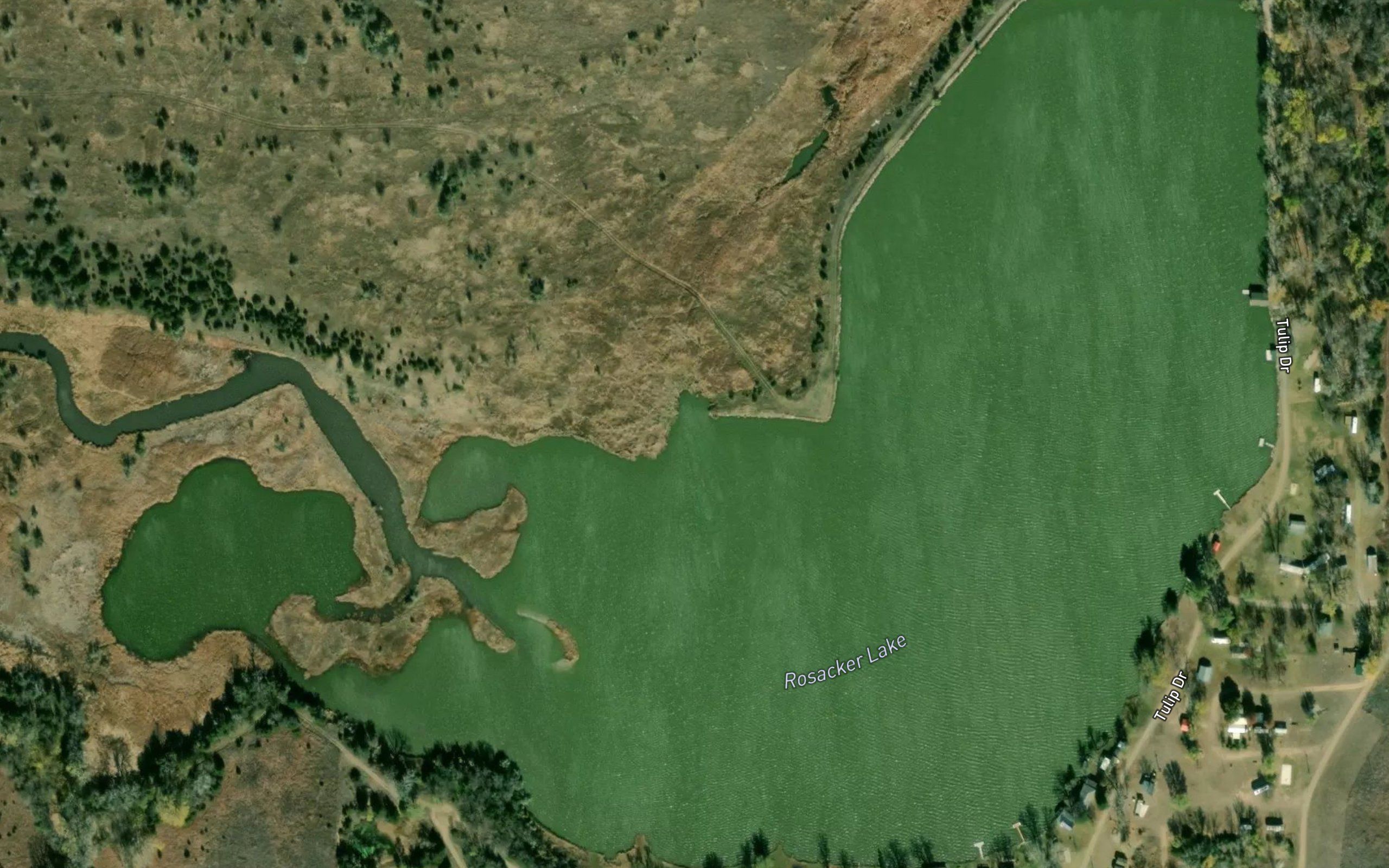 Rosacker Lake