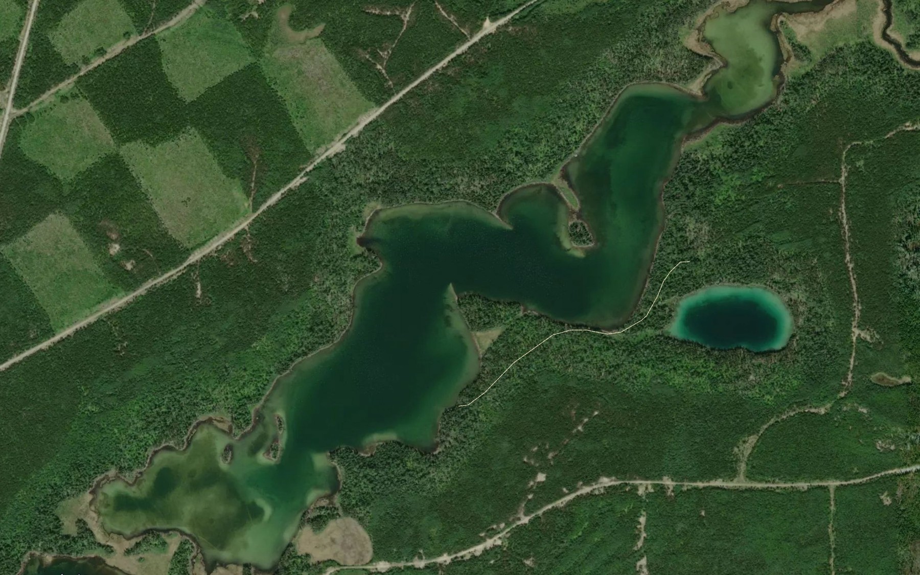 Satellite map of the Danford Lake