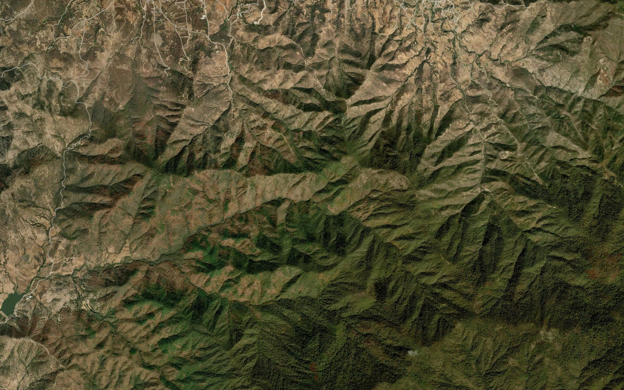 Cienega
