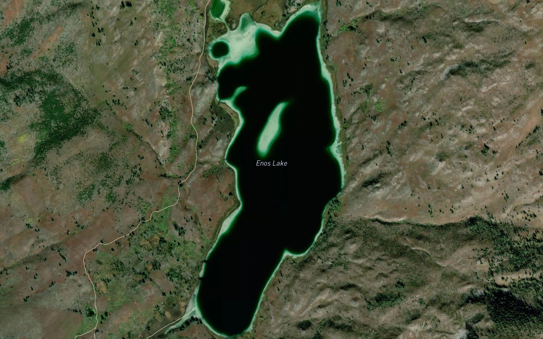 Satellite map of the Enos Lake