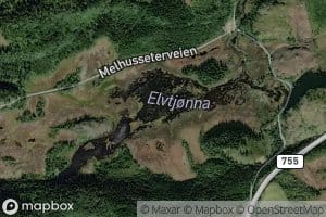 Elvtjorna