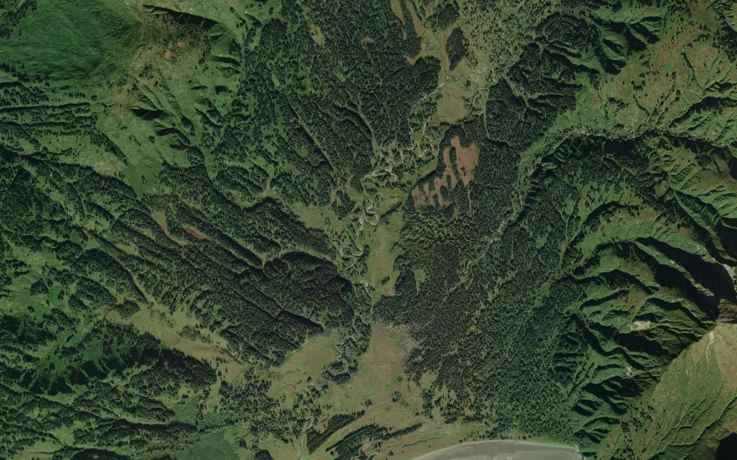 Paveloff Creek
