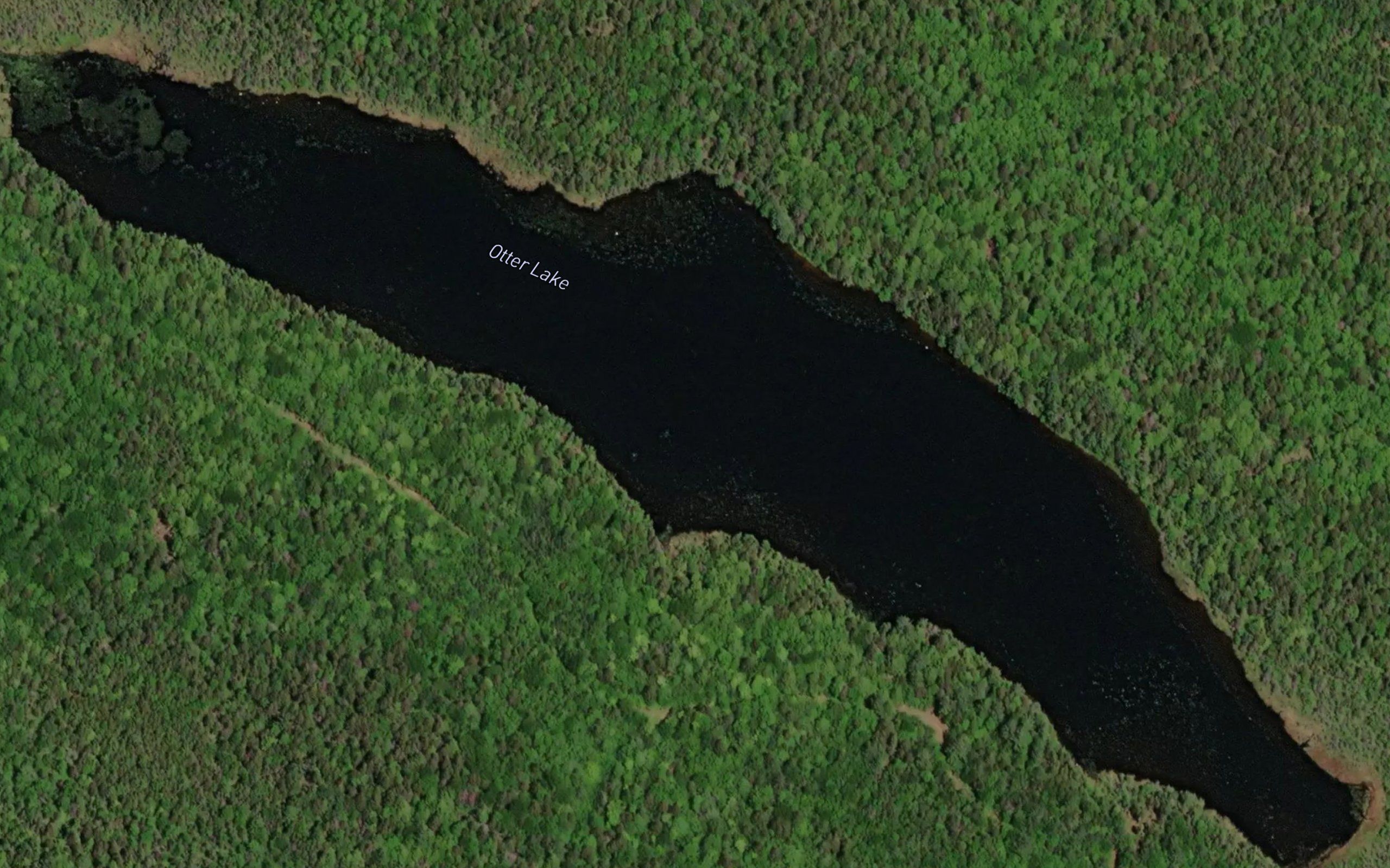 Otter Lake