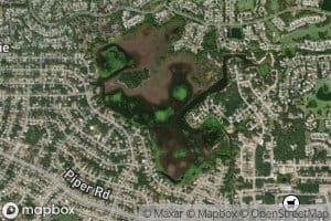 Hog Pond