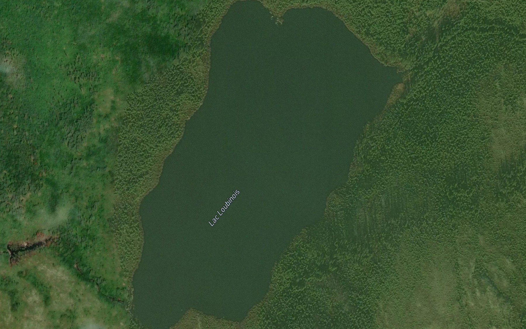 Satellite map of the Lac Loubinois