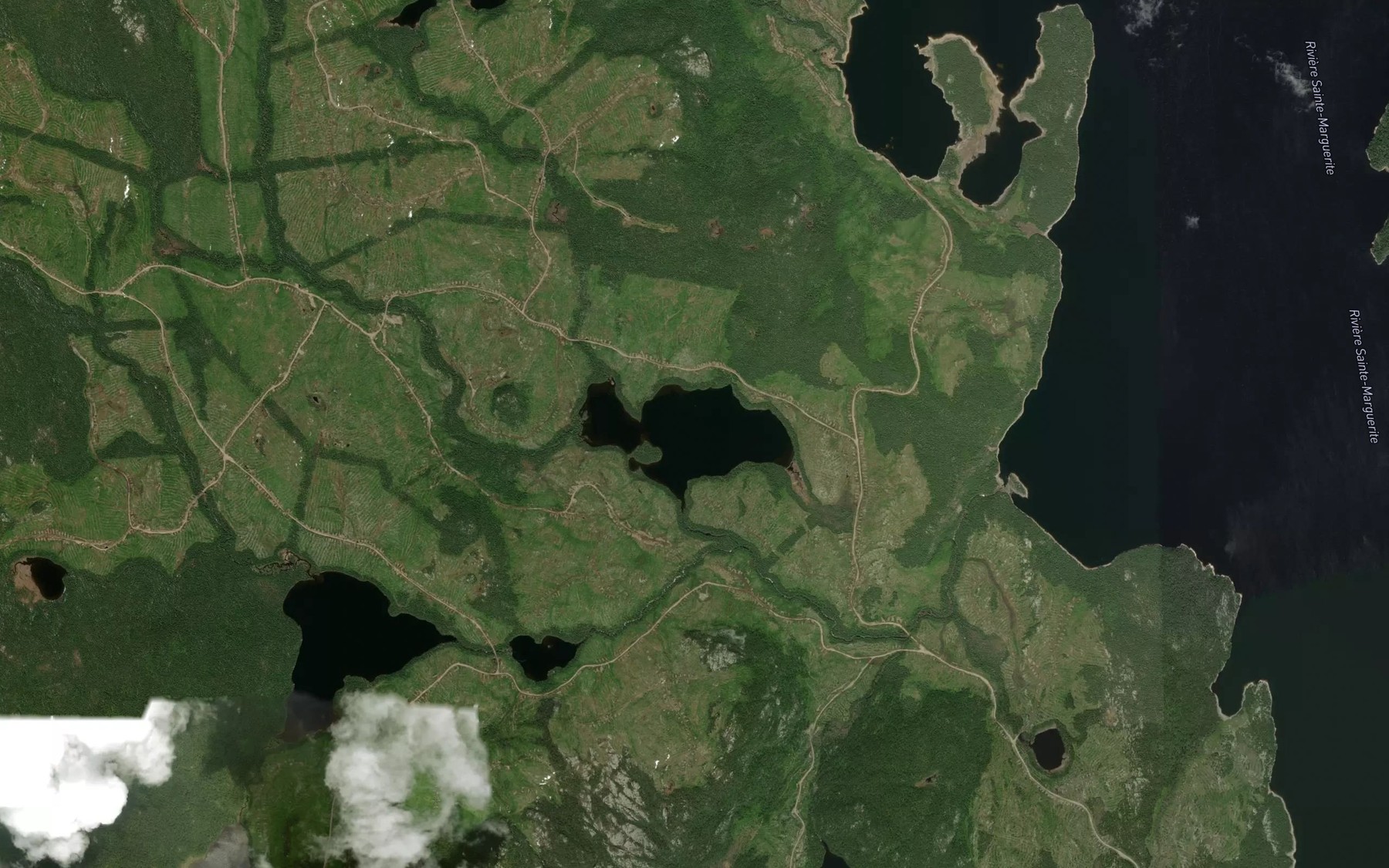Satellite map of the Lac de la Corne d'Abondance