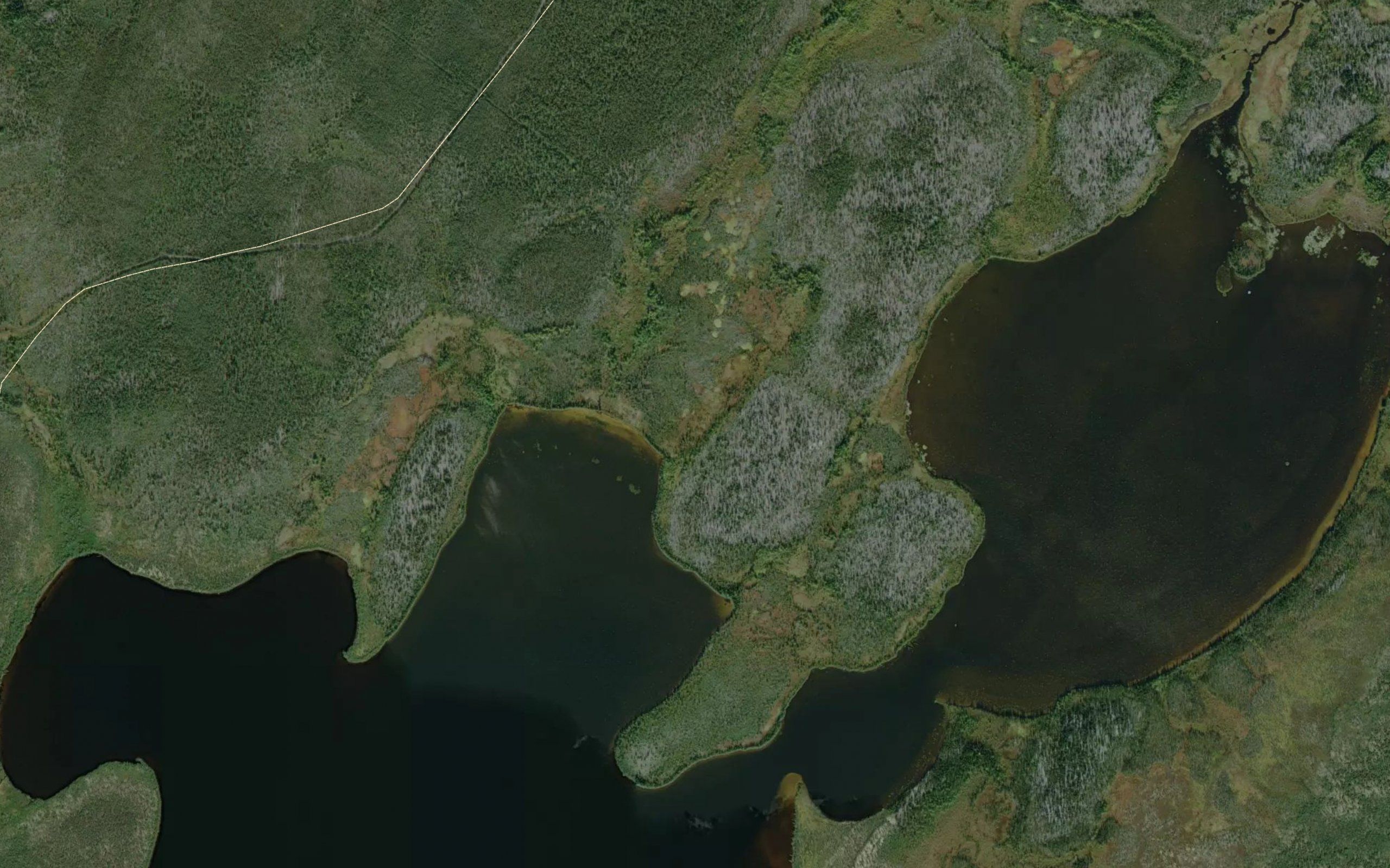 Kidd Lake