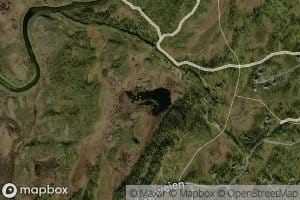 Sogardstjorna