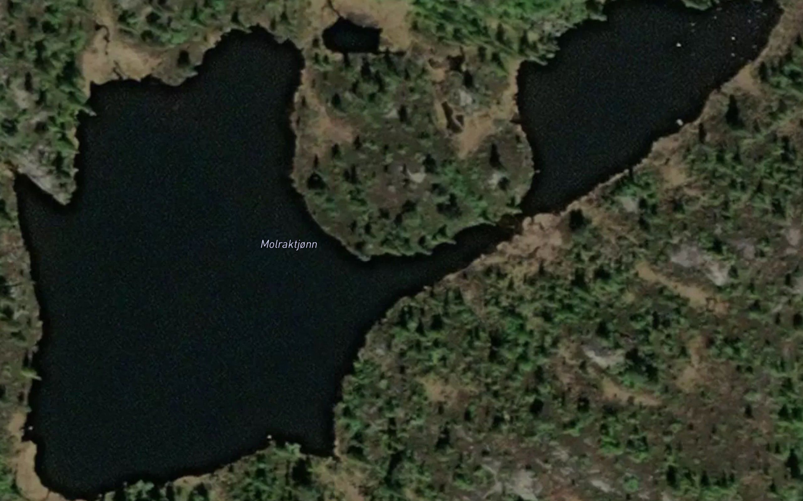 Molraktjonn
