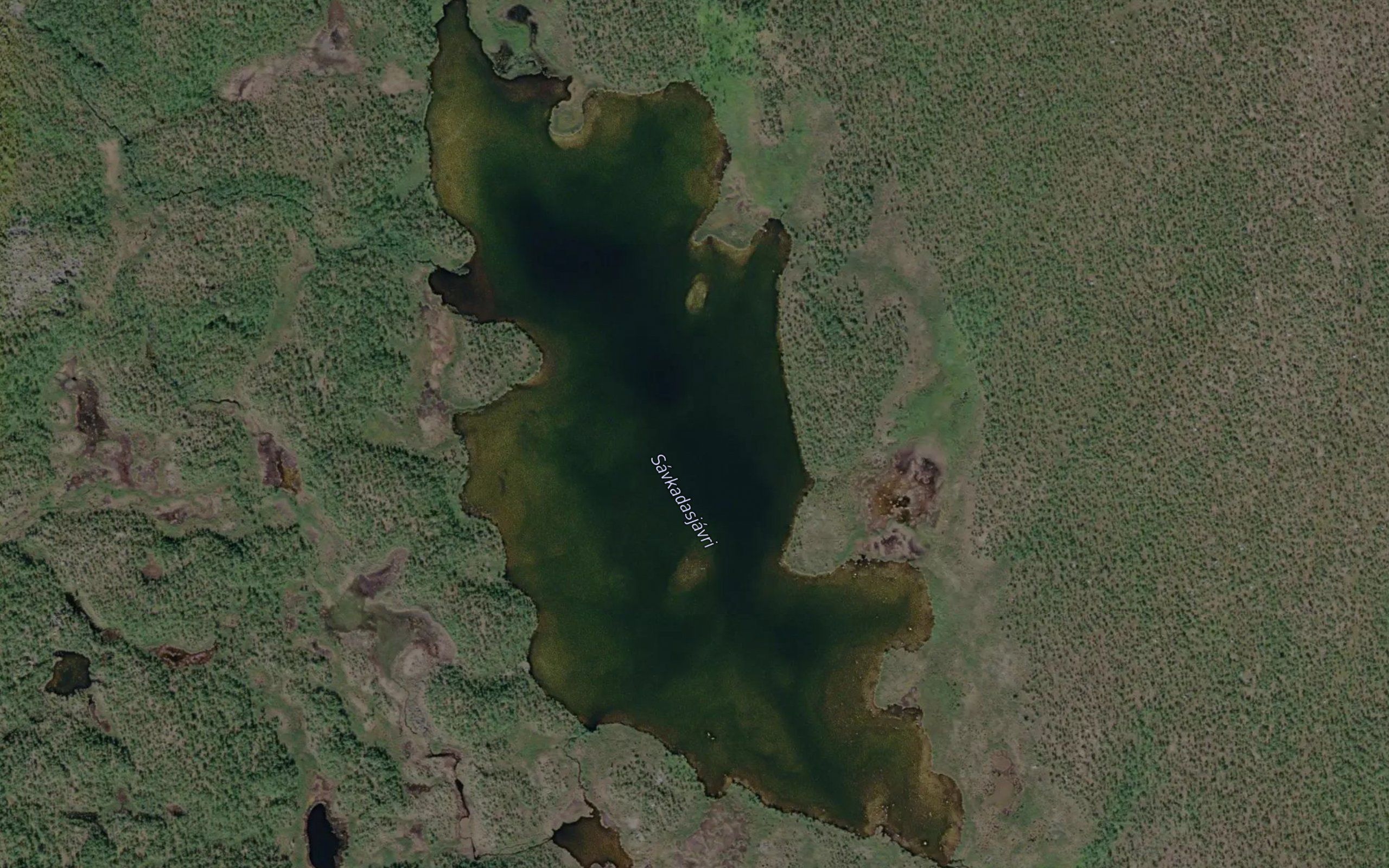 Savkadasjavri