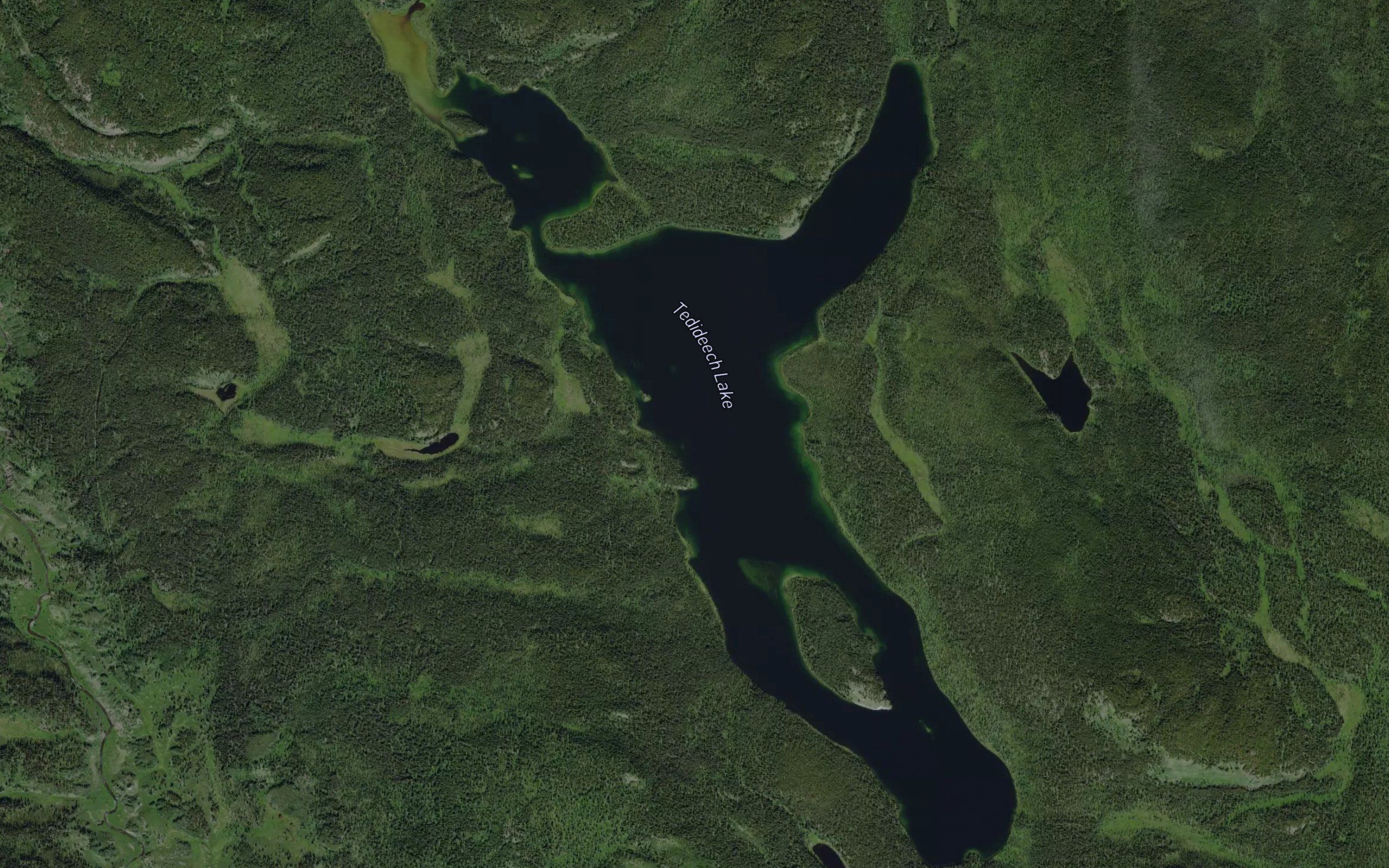 Tedideech Lake