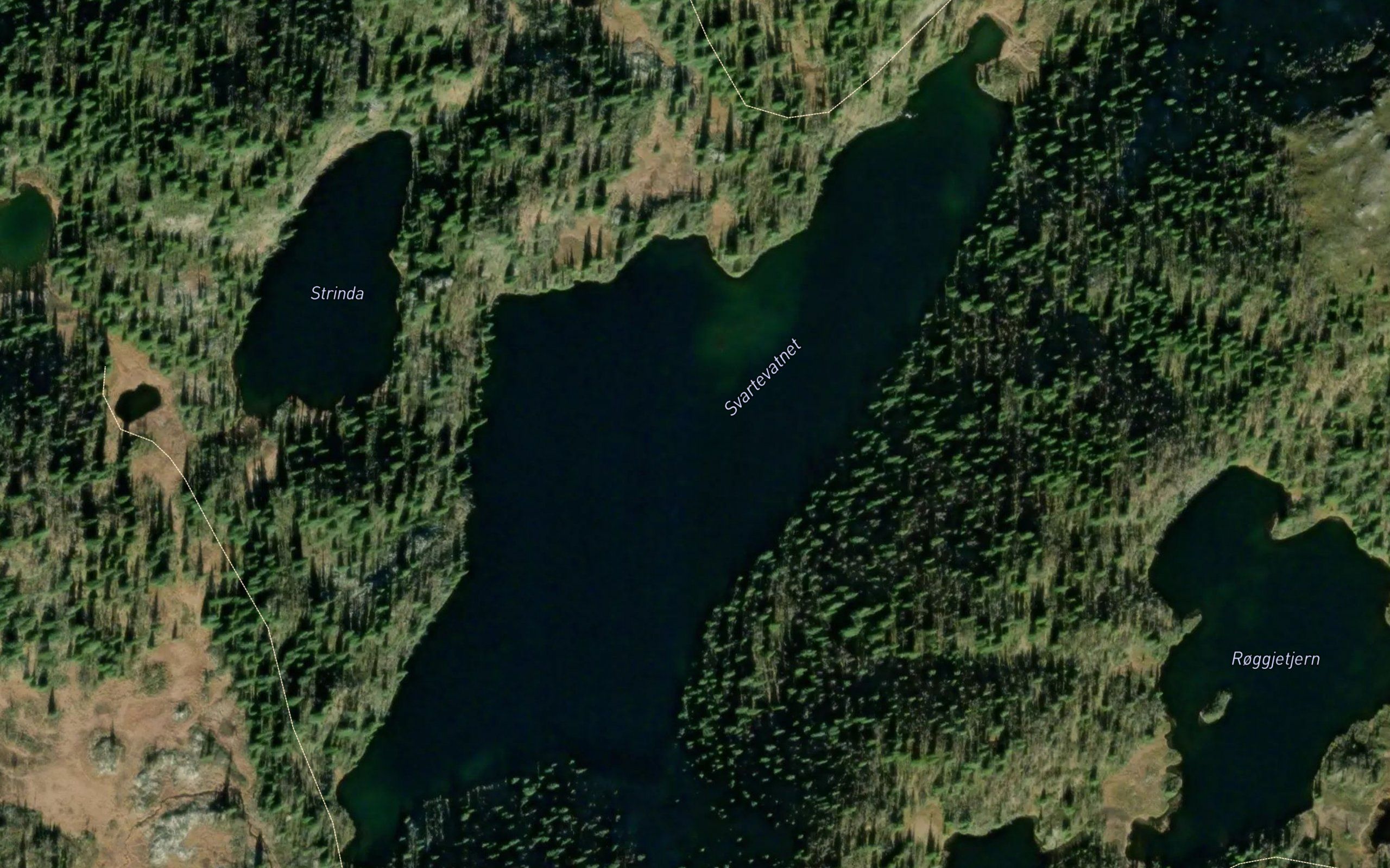 Svartevatnet