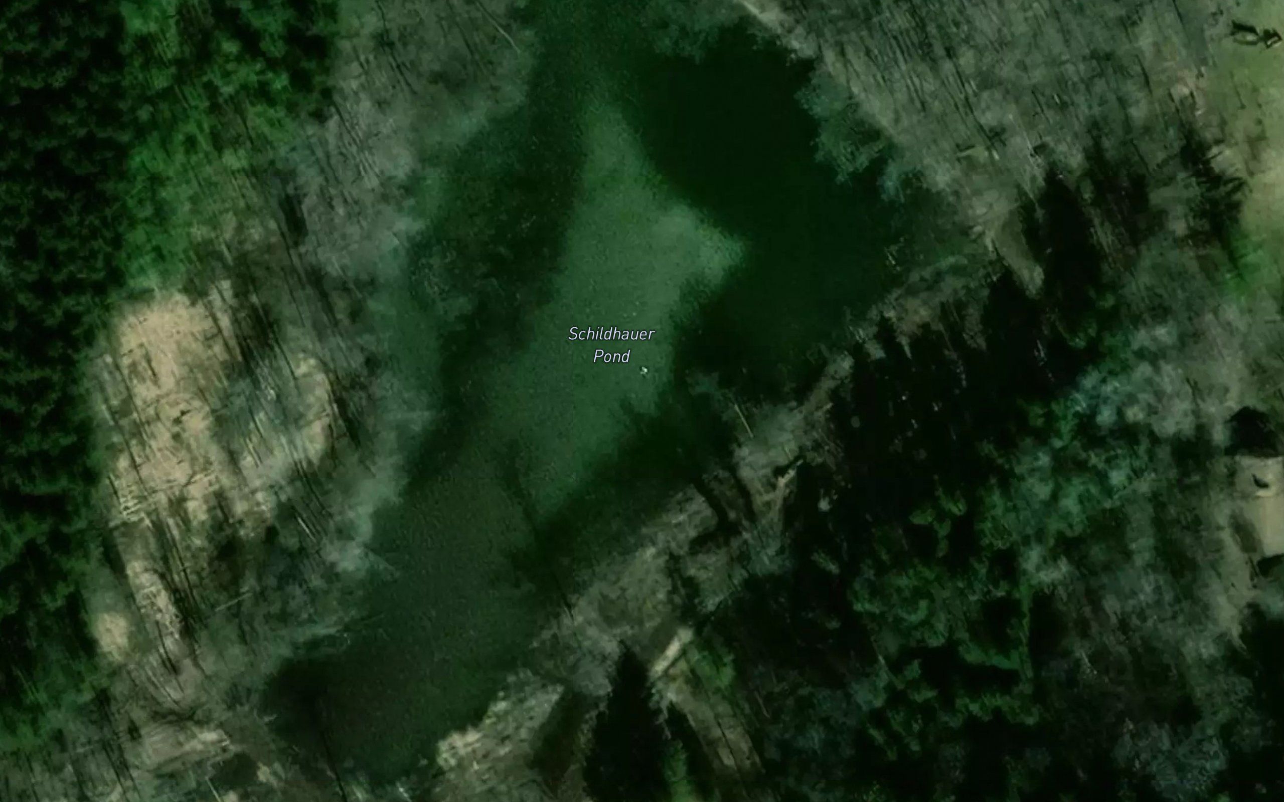 Schildhauer Pond