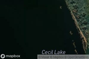 Cecil Lake
