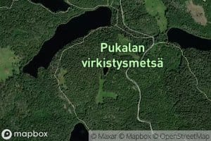 Kotalammi