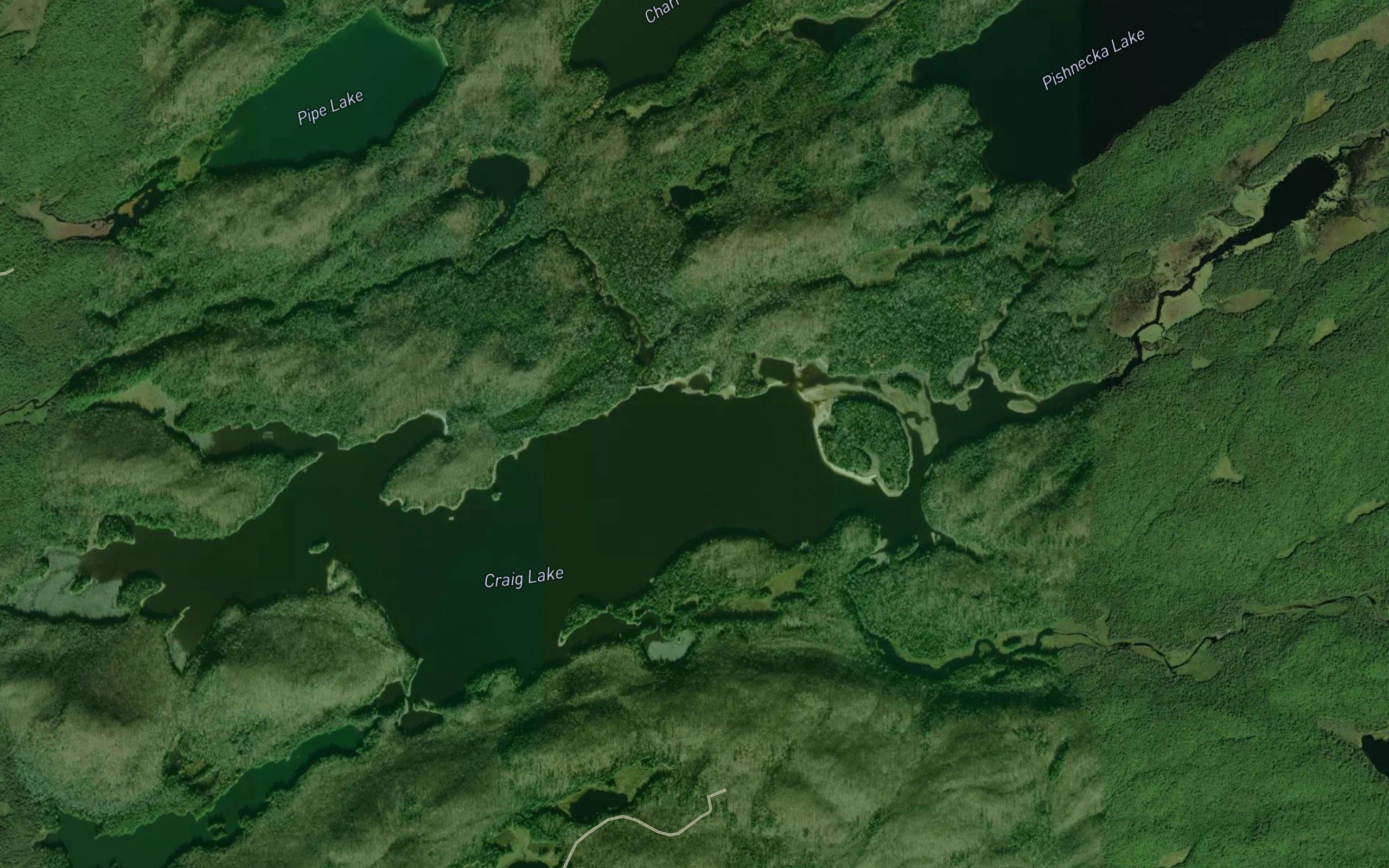 Craig Lake