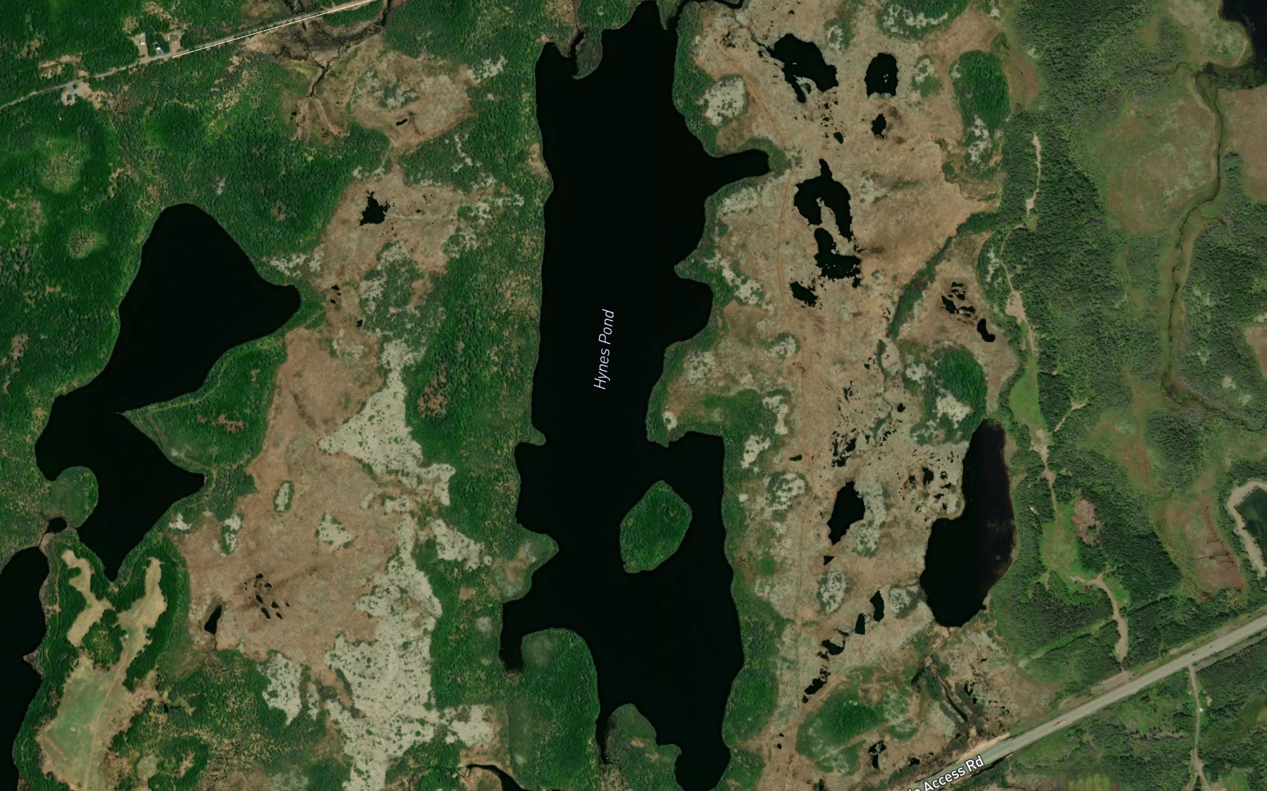Hynes Pond