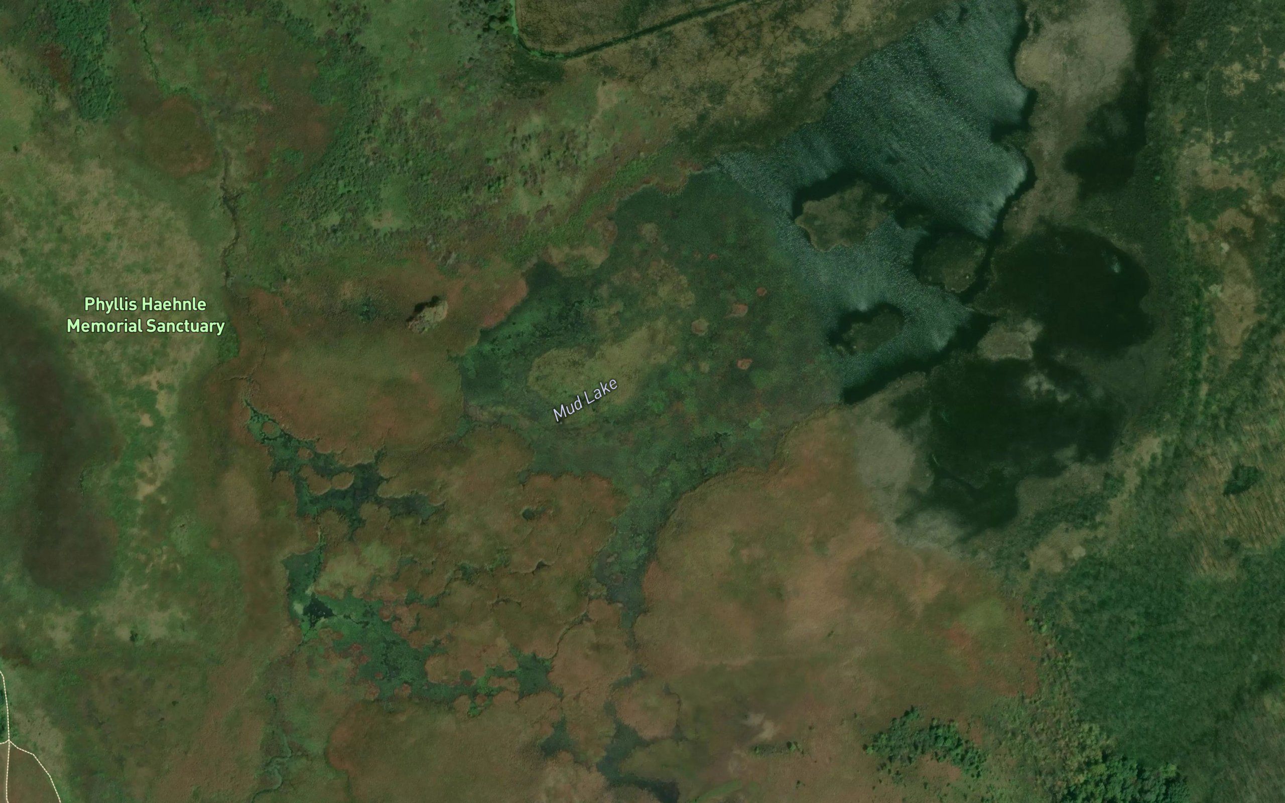 Mud Lake