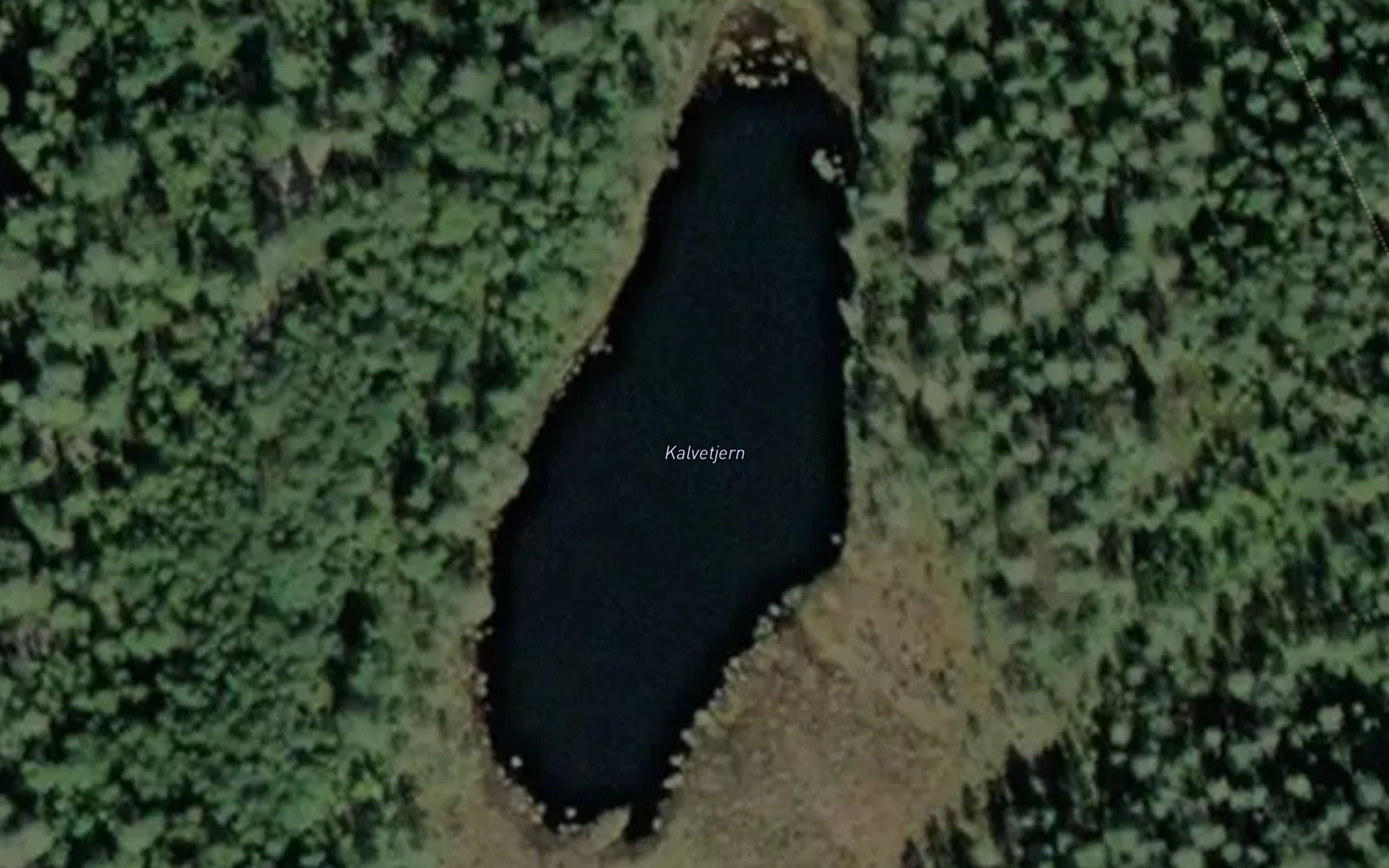 Kalvetjern