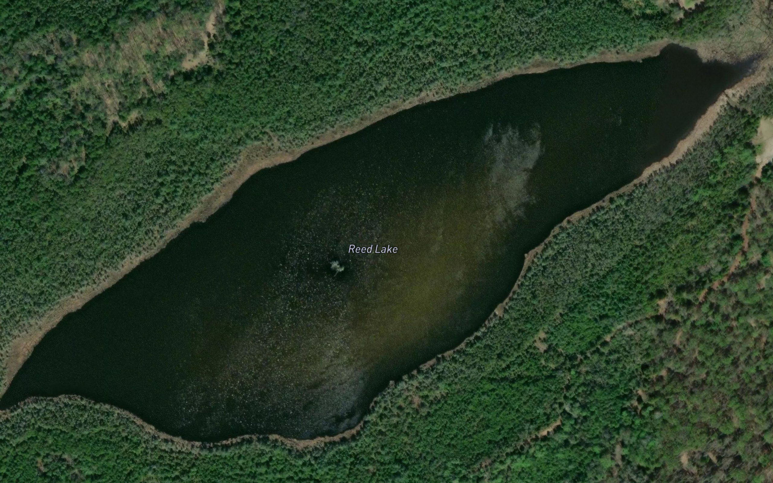Reed Lake