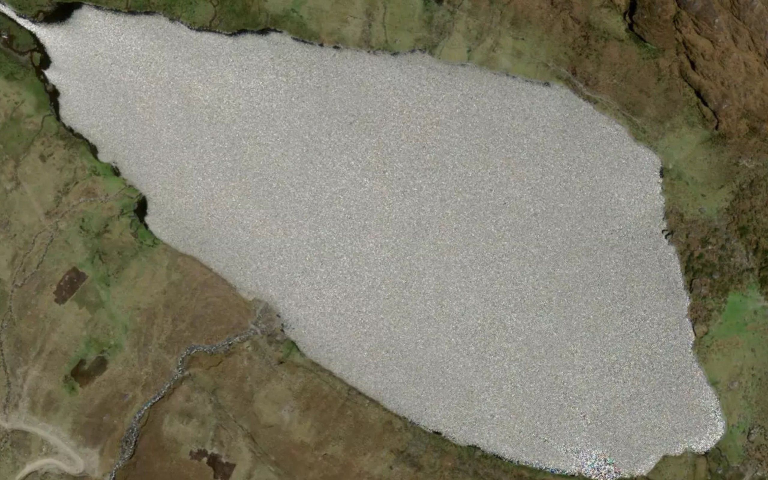 Laguna Sacsacocha
