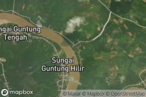 Sungai Guntung