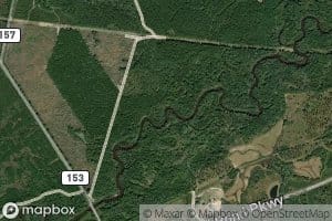 Lewis Creek