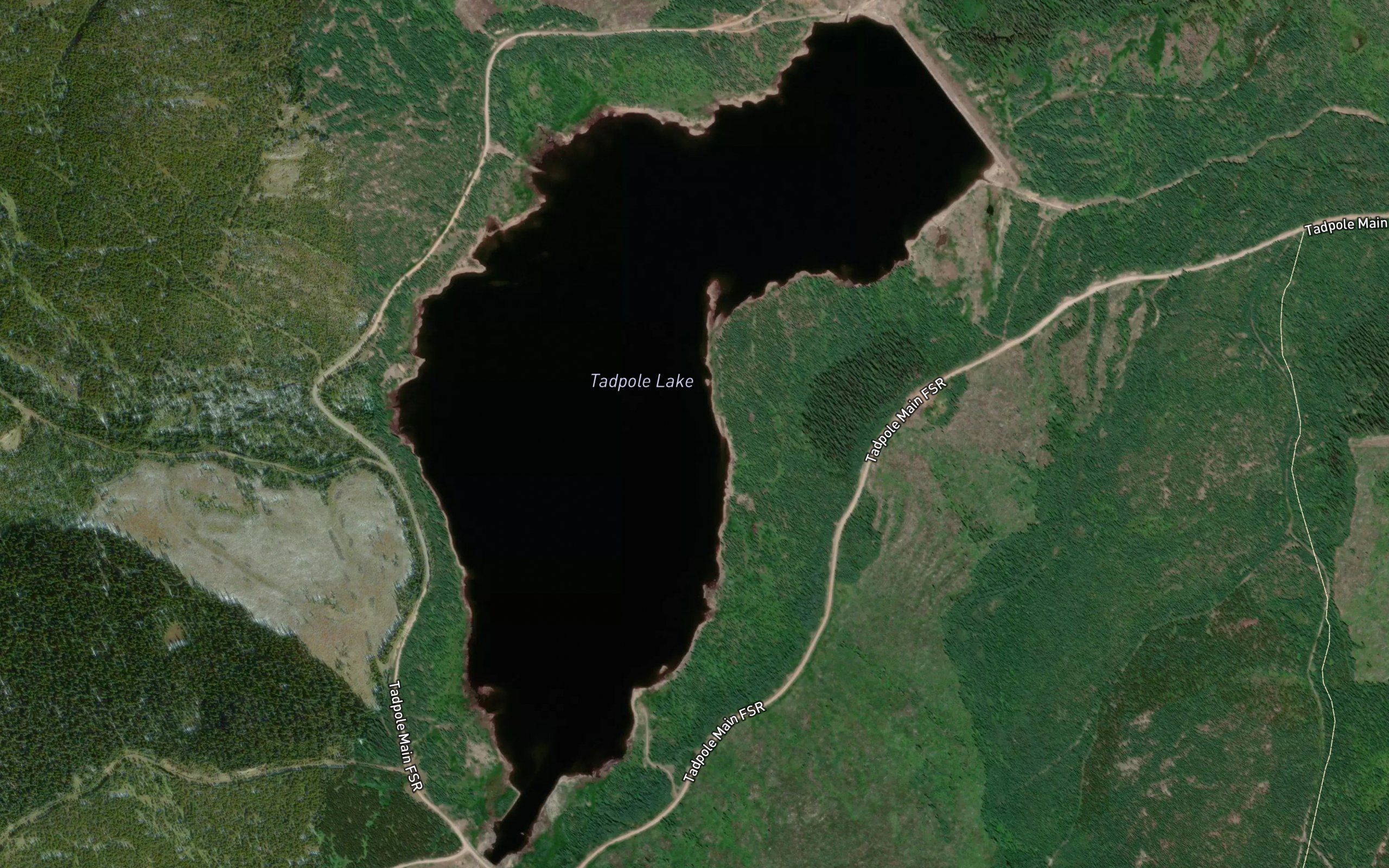 Tadpole Lake